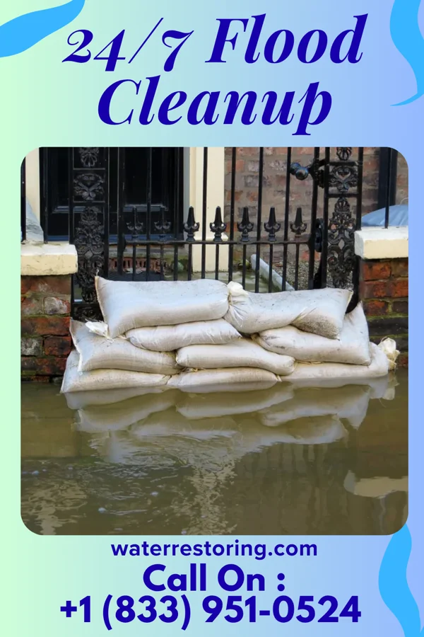 24/7 Flood Cleanup in Kaleva, MI