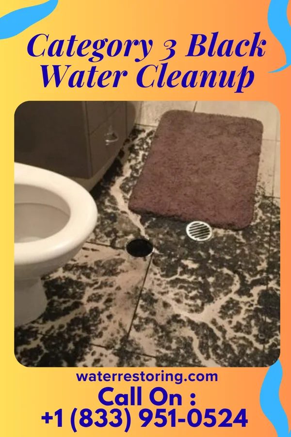 Category 3 Black Water Cleanup in Kaleva, MI