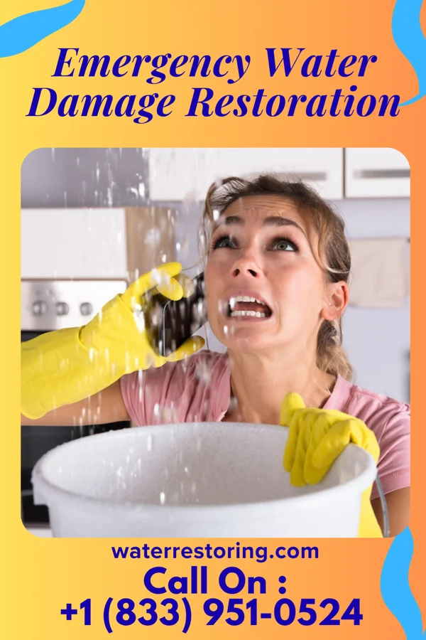 Emergency Water Damage Restoration in Kaleva, MI