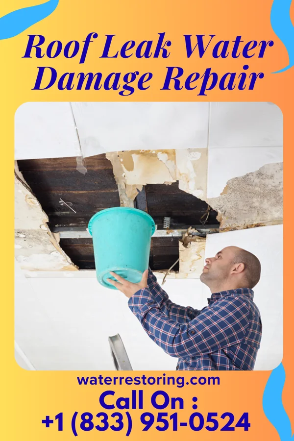Roof Leak Water Damage Repair in Kaleva, MI